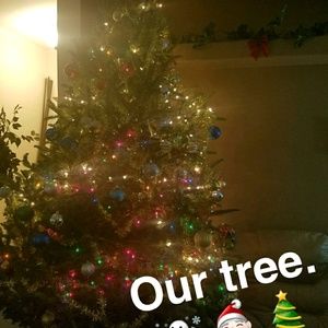 Meet your Posher, Lacey